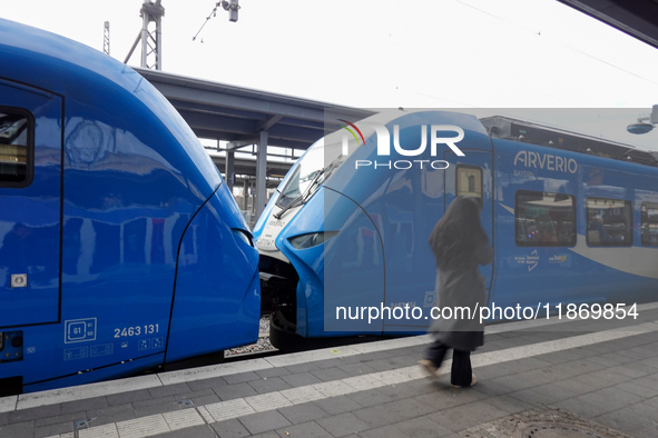 A passenger stands near an Arverio train at Augsburg Central Station in Bavaria, Germany, on December 14, 2024. 