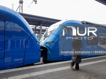 A passenger stands near an Arverio train at Augsburg Central Station in Bavaria, Germany, on December 14, 2024. (