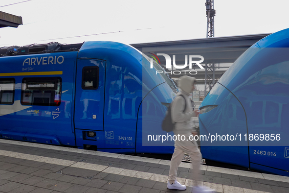 A passenger stands near an Arverio train at Augsburg Central Station in Bavaria, Germany, on December 14, 2024. 