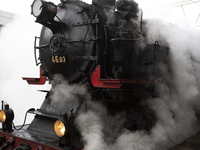 A steam locomotive, manufactured in Poland in 1931, is part of the Christmas attraction train of the Bulgarian State Railways at Central Rai...