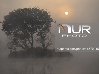 A view of Taudaha Wetland Lake in a misty morning in Kirtipur, Kathmandu, Nepal, on December 15, 2024. Taudaha is one of the largest resting...