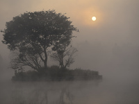 A view of Taudaha Wetland Lake in a misty morning in Kirtipur, Kathmandu, Nepal, on December 15, 2024. Taudaha is one of the largest resting...