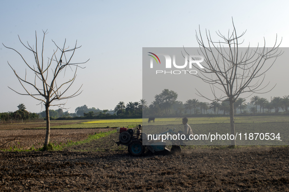 A farmer works in a field preparing to plant rice in Magura, Bangladesh, on December 15, 2024. The seasonal rice planting plays a crucial ro...