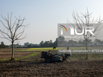 A farmer works in a field preparing to plant rice in Magura, Bangladesh, on December 15, 2024. The seasonal rice planting plays a crucial ro...