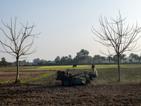 A farmer works in a field preparing to plant rice in Magura, Bangladesh, on December 15, 2024. The seasonal rice planting plays a crucial ro...