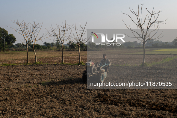 A farmer works in a field preparing to plant rice in Magura, Bangladesh, on December 15, 2024. The seasonal rice planting plays a crucial ro...