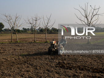 A farmer works in a field preparing to plant rice in Magura, Bangladesh, on December 15, 2024. The seasonal rice planting plays a crucial ro...