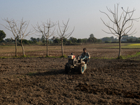 A farmer works in a field preparing to plant rice in Magura, Bangladesh, on December 15, 2024. The seasonal rice planting plays a crucial ro...