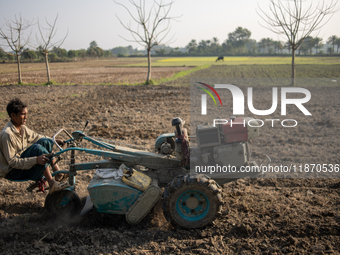 A farmer works in a field preparing to plant rice in Magura, Bangladesh, on December 15, 2024. The seasonal rice planting plays a crucial ro...