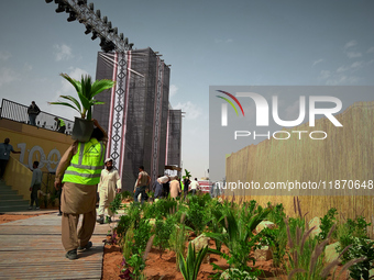 A migrant worker carries a potted Fiji Fan Palm at a construction site near Riyadh, Saudi Arabia on 03 March, 2024. (