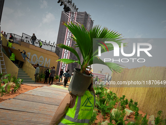 A migrant worker carries a potted Fiji Fan Palm at a construction site near Riyadh, Saudi Arabia on 03 March, 2024. (