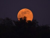 The Cold Moon is seen in the sky from Morigaon District in Assam, India, on December 15, 2024. The ''Cold Moon'' is the last full moon of 20...