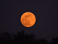 The Cold Moon is seen in the sky from Morigaon District in Assam, India, on December 15, 2024. The ''Cold Moon'' is the last full moon of 20...