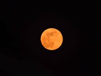 The Cold Moon is seen in the sky from Morigaon District in Assam, India, on December 15, 2024. The ''Cold Moon'' is the last full moon of 20...