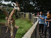 Visitors look at two giraffes imported from Tama Zoological Garden and Toyohashi Zoo, Japan, as part of the International Breeding Program b...