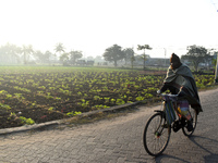 A person rides a bicycle next to a field on a winter morning in Kolkata, India, on December 15, 2024. (