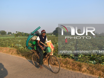 A farmer carries water pumps on his cycle as he passes next to a cauliflower field on a winter morning in Kolkata, India, on December 15, 20...