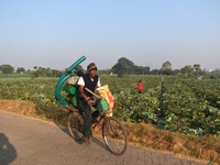 A farmer carries water pumps on his cycle as he passes next to a cauliflower field on a winter morning in Kolkata, India, on December 15, 20...