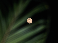 A view of full moon in Tehatta, INda, on December 15, 2024. (