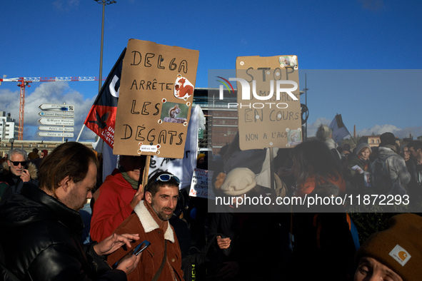 Between 100 and 1500 people gather in Toulouse, France, on December 15, 2024, against a non-administrative court ruling of the Administrativ...