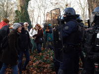 A woman shouts at riot policemen near the Administrative Court of Toulouse. Between 1,000 and 1,500 people gather in Toulouse, France, on De...