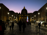 A Christmas tree stands in St. Peter's Square in Vatican City, on December 15, 2024. (