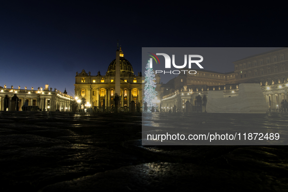 A Christmas tree stands in St. Peter's Square in Vatican City, on December 15, 2024. 