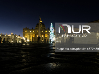 A Christmas tree stands in St. Peter's Square in Vatican City, on December 15, 2024. (