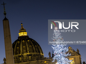 A Christmas tree stands in St. Peter's Square in Vatican City, on December 15, 2024. (