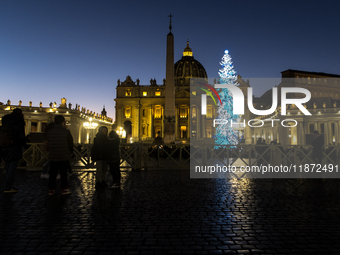 A Christmas tree stands in St. Peter's Square in Vatican City, on December 15, 2024. (