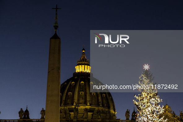 A Christmas tree stands in St. Peter's Square in Vatican City, on December 15, 2024. 