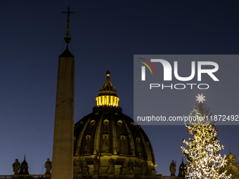 A Christmas tree stands in St. Peter's Square in Vatican City, on December 15, 2024. (