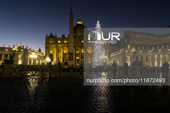 A Christmas tree stands in St. Peter's Square in Vatican City, on December 15, 2024. 