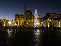 A Christmas tree stands in St. Peter's Square in Vatican City, on December 15, 2024. (