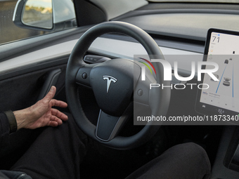 The images show the Tesla Model Y equipped with its Level 2 autonomous driving capabilities. The photos highlight the vehicle's logo, the na...