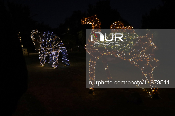 A view of a Christmas village set up in the Tlahuac Forest in Mexico City, Mexico, on December 15, 2024. 