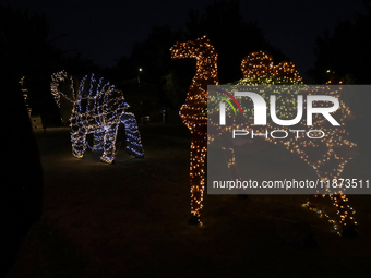 A view of a Christmas village set up in the Tlahuac Forest in Mexico City, Mexico, on December 15, 2024. (