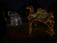 A view of a Christmas village set up in the Tlahuac Forest in Mexico City, Mexico, on December 15, 2024. (