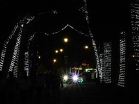 A view of a train in a Christmas village set up in the Tlahuac Forest in Mexico City, Mexico, on December 15, 2024. (