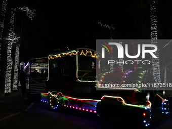 A view of a train in a Christmas village set up in the Tlahuac Forest in Mexico City, Mexico, on December 15, 2024. (