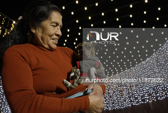 A woman with her dog is seen in a Christmas village set up in the Tlahuac Forest, in Mexico City, on December 15, 2024. 