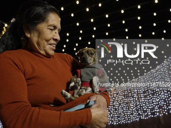 A woman with her dog is seen in a Christmas village set up in the Tlahuac Forest, in Mexico City, on December 15, 2024. (