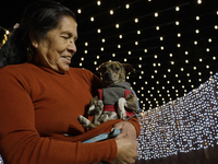 A woman with her dog is seen in a Christmas village set up in the Tlahuac Forest, in Mexico City, on December 15, 2024. (