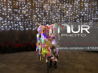 A view of a vendor in a Christmas village set up in the Tlahuac Forest, in Mexico City, Mexico, on December 15, 2024. (