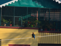 A Common Kingfisher bird sits on an electric cable in Siliguri, India, on December 16, 2024. (