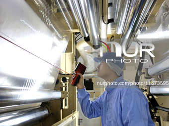 A worker works on the production line of a pharmaceutical packaging workshop in Lianyungang, China, on December 16, 2024. (