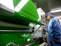 A worker works on the production line of a pharmaceutical packaging workshop in Lianyungang, China, on December 16, 2024. (