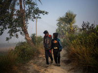 Boys walk along a village road on a winter morning in Magura, Bangladesh, on December 16, 2024. (