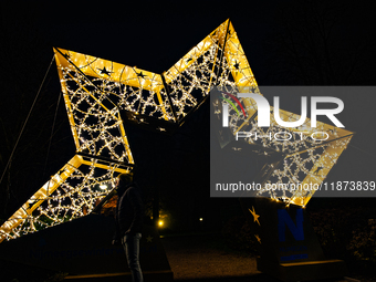 Light sculptures in different shapes are placed around the city center to celebrate Christmas in Nijmegen, on December 15, 2024. (