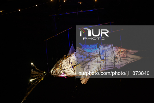 Light sculptures in different shapes are placed around the city center to celebrate Christmas in Nijmegen, on December 15, 2024. 